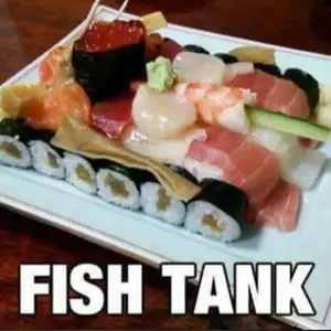 Media 'Fish Tank' in category 'Meme Upload'
