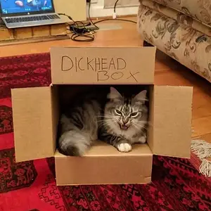 Dickhead Box