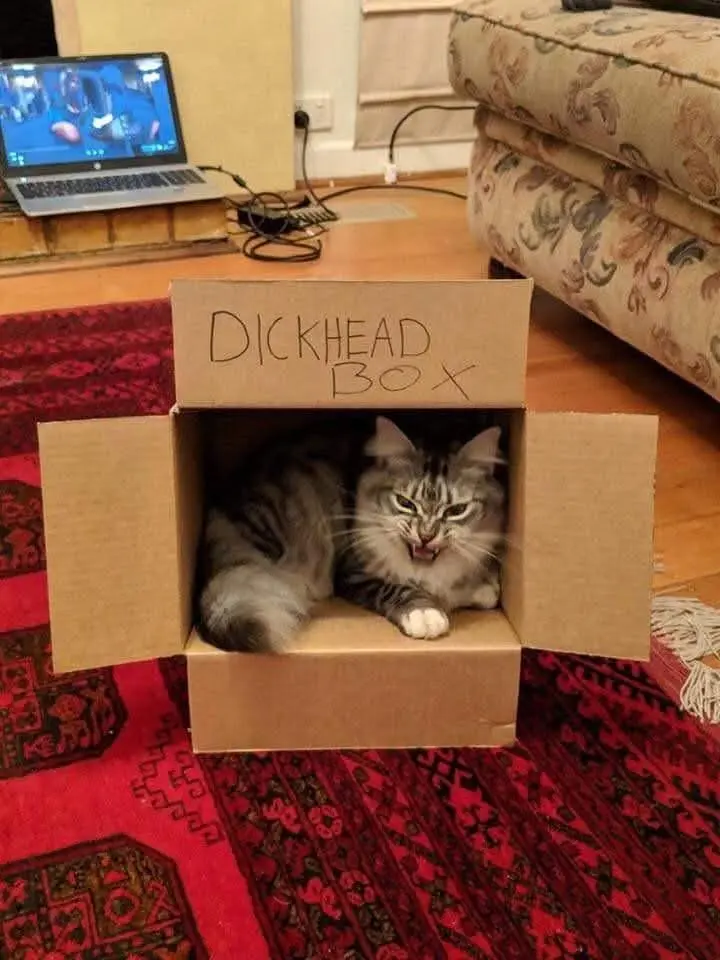 Dickhead Box