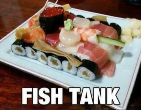 Fish Tank